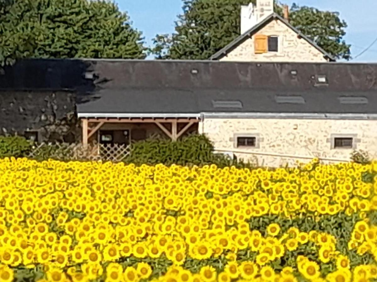 3 Self-Contained Gites With Pool And Games Room Saint-Georges-de-Noisné エクステリア 写真